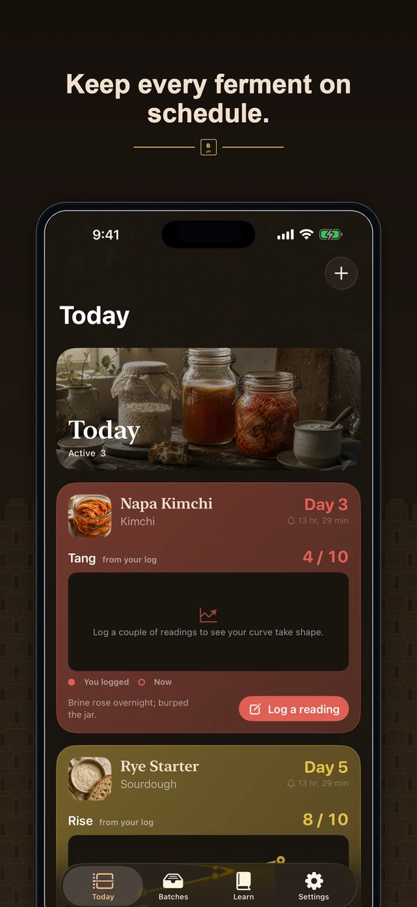 Brinepost: Sourdough & Ferment — Sourdough, kombucha, kimchi & yogurt