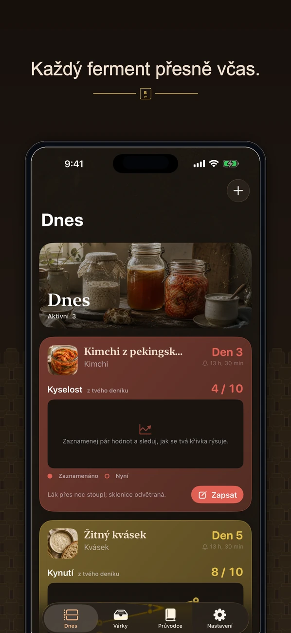Brinepost: Sourdough & Ferment — Kváskové těsto, kombucha, kimchi a jogurt