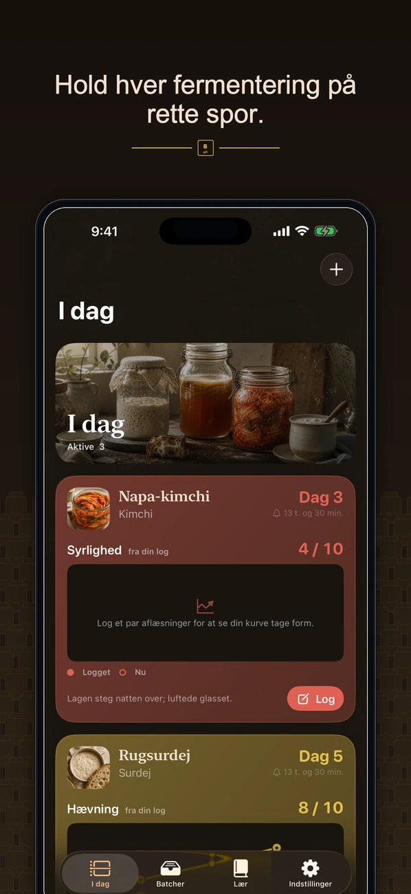 Brinepost: Sourdough & Ferment — Surdej, kombucha, kimchi & yoghurt