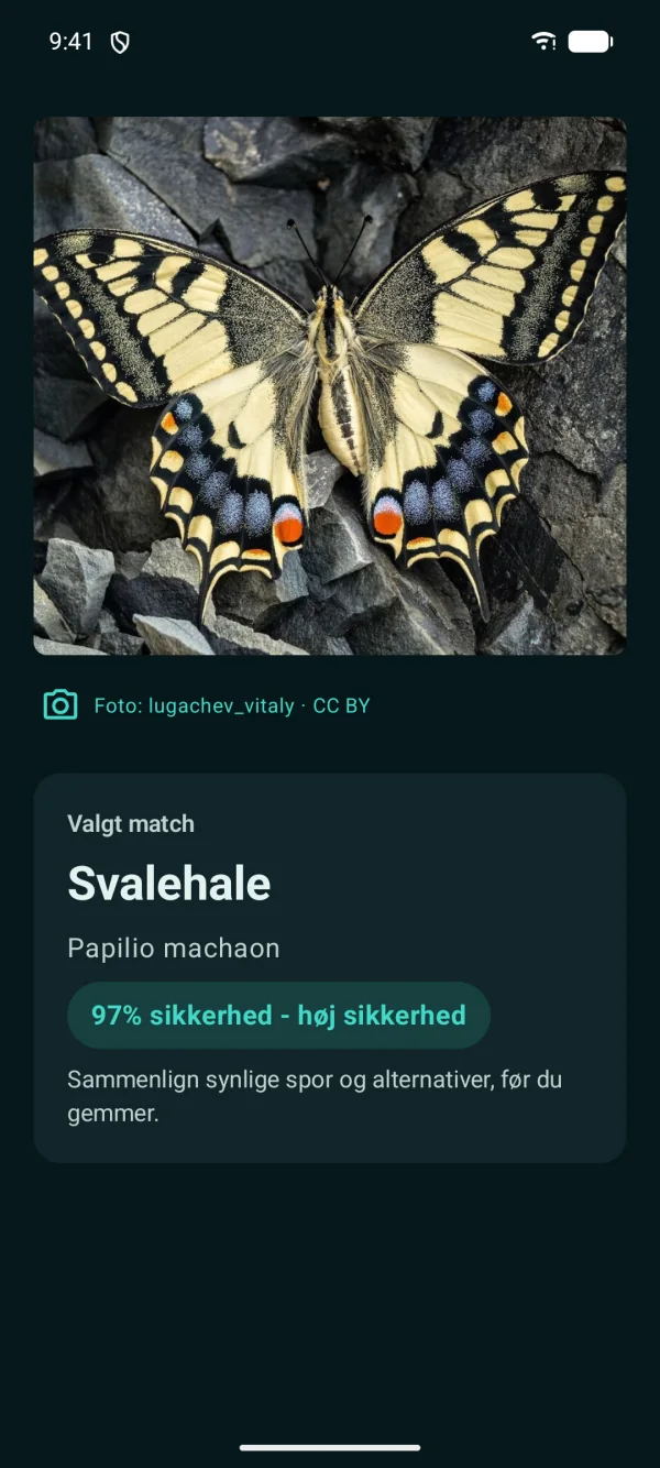 Butterfly Discover — Sommerfugle, offline