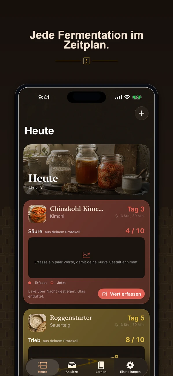 Brinepost: Sourdough & Ferment — Sauerteig, Kombucha, Kimchi und Joghurt