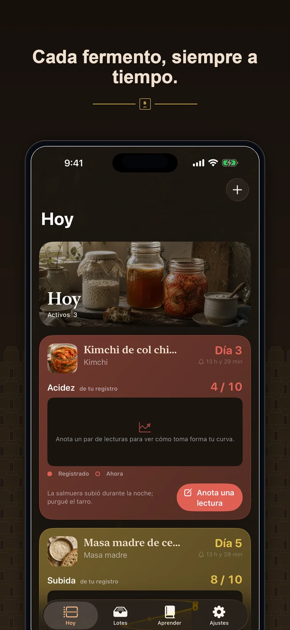 Brinepost: Sourdough & Ferment — Masa madre, kombucha, kimchi y yogur