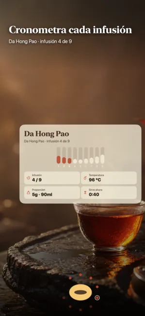 Nine Steeps: Gongfu Tea Timer — Temporizador y diario de té Gongfu