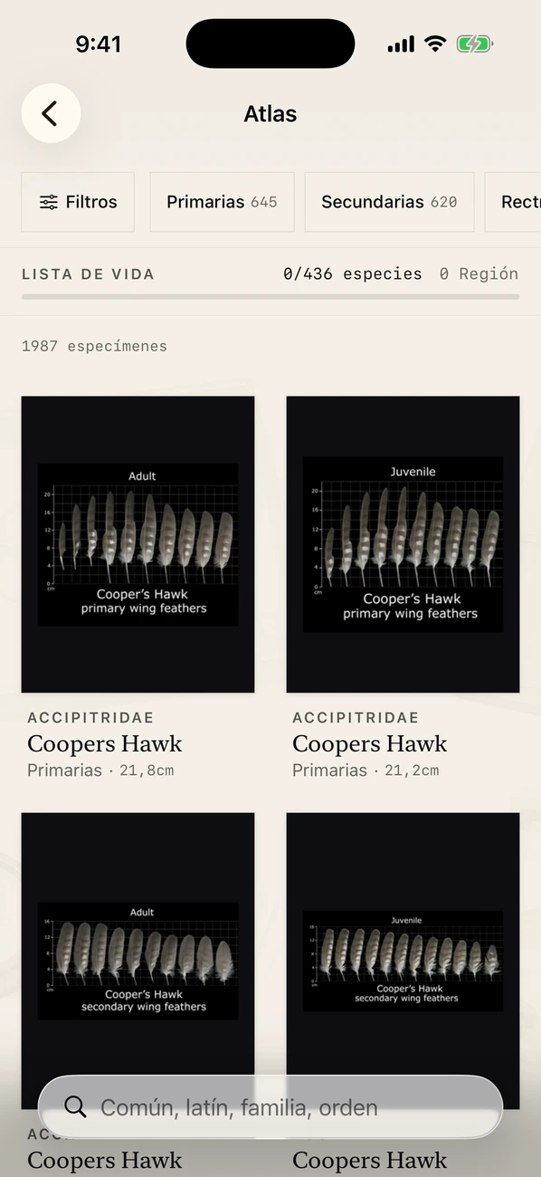 Plumes: Feather Atlas — Identificación de plumas de aves y guía de campo