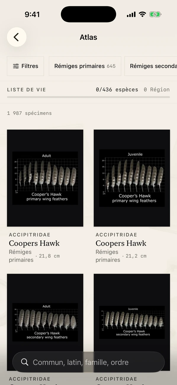 Plumes: Feather Atlas — Identification des plumes d'oiseaux et guide de terrain