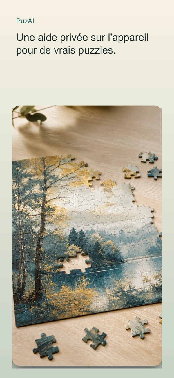 PuzAI — Aide au tri des puzzles