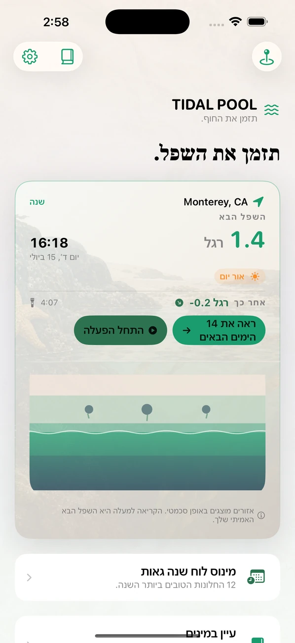 Tidal Pool: Tidepool Timing — כוון לשפל. פגוש את החיים.