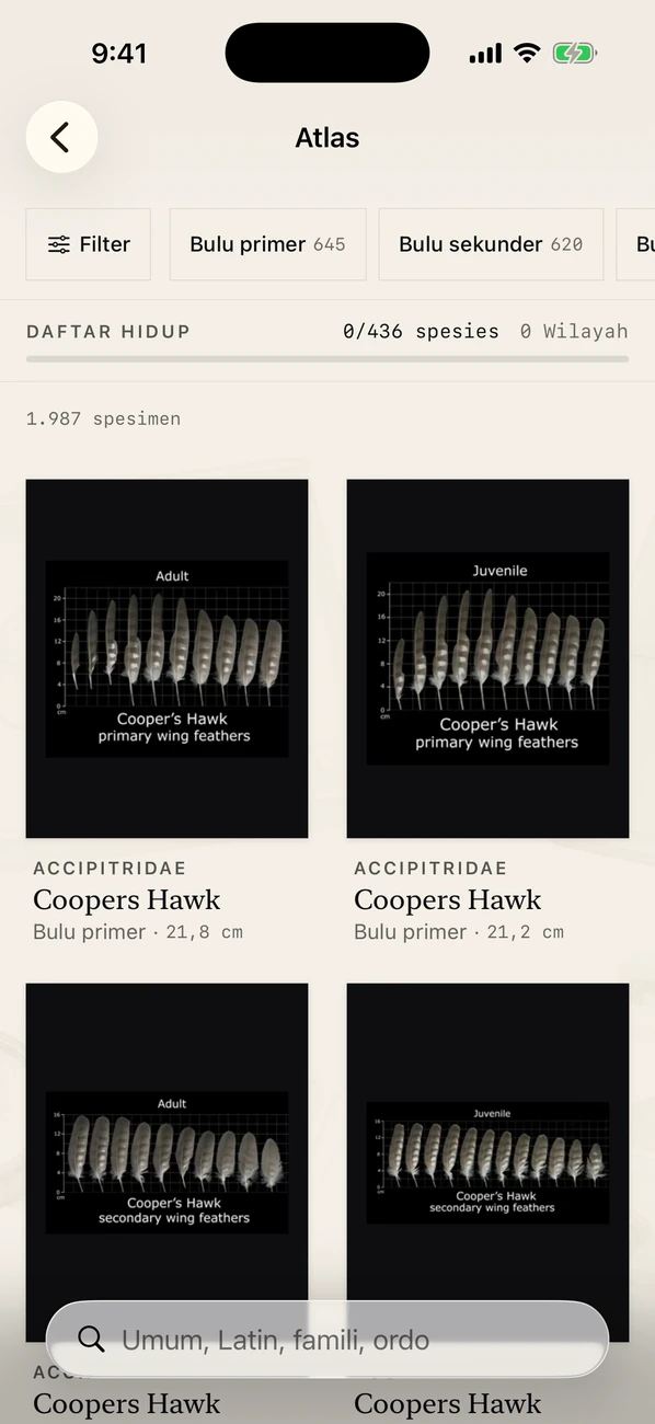 Plumes: Feather Atlas — ID bulu burung & panduan lapangan