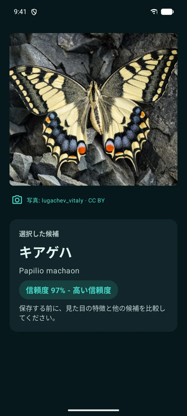 Butterfly Discover — 蝶と蛾、オフラインで1,500種