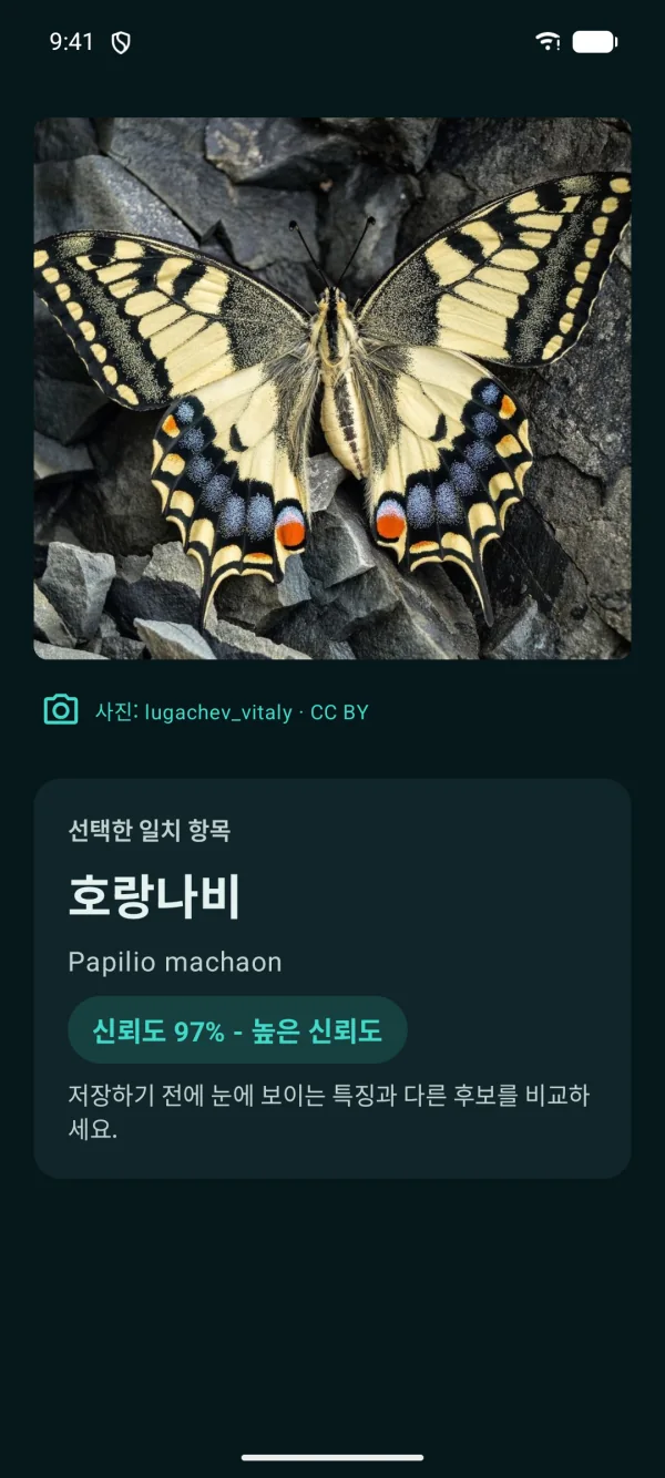 Butterfly Discover — 나비와 나방, 오프라인