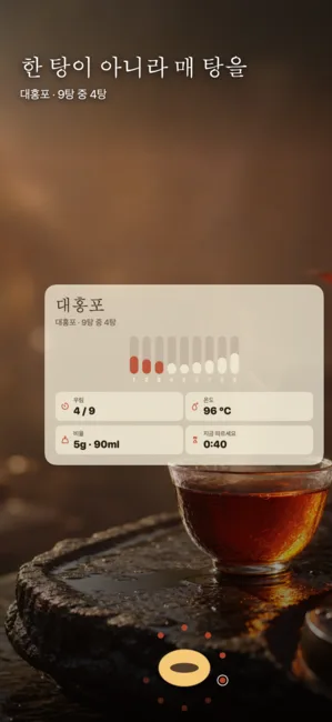 Nine Steeps: Gongfu Tea Timer — 공푸 티 타이머 & 저널