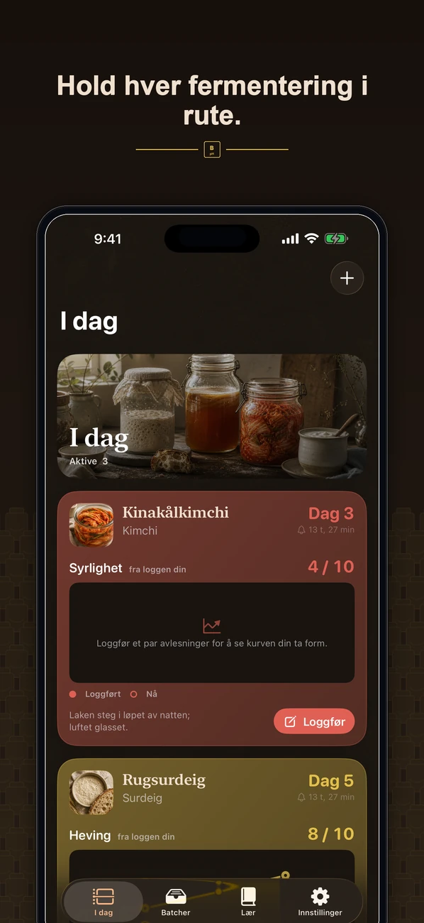 Brinepost: Sourdough & Ferment — Surdeig, kombucha, kimchi og yoghurt