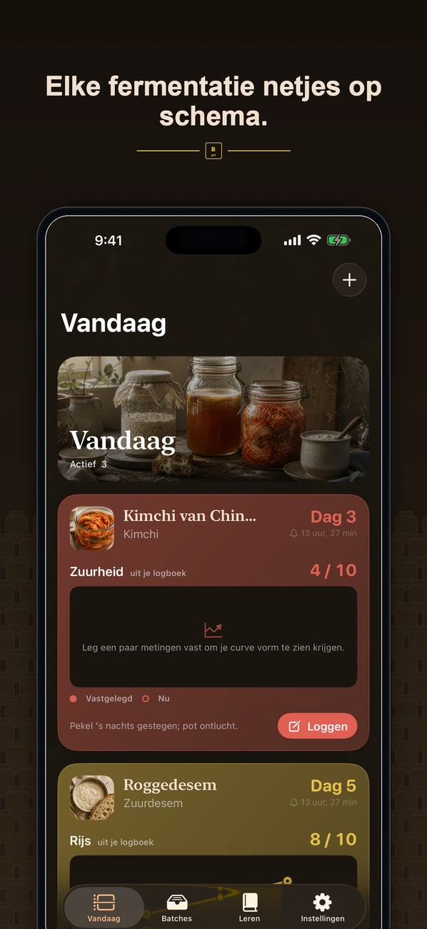 Brinepost: Sourdough & Ferment — Zuurdesem, kombucha, kimchi en yoghurt