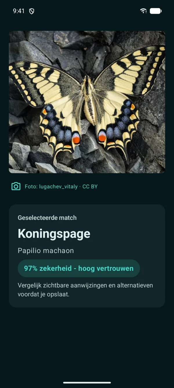 Butterfly Discover — Vlinders en motten, offline