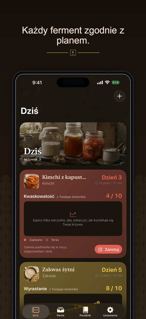 Brinepost: Sourdough & Ferment — Zakwas, kombucha, kimchi i jogurt