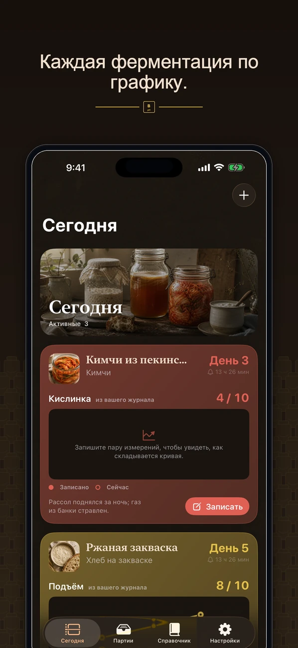Brinepost: Sourdough & Ferment — Закваска, чайный гриб, кимчи и йогурт