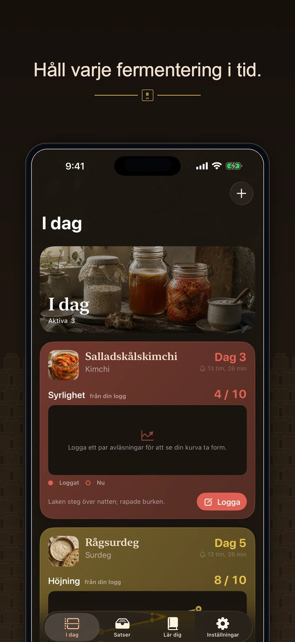 Brinepost: Sourdough & Ferment — Surdeg, kombucha, kimchi & yoghurt