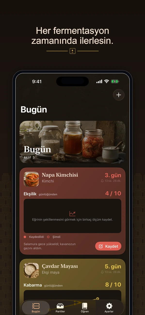 Brinepost: Sourdough & Ferment — Ekşi maya, kombucha, kimchi ve yoğurt