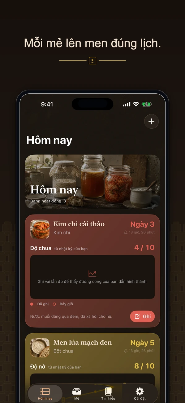 Brinepost: Sourdough & Ferment — Bột chua, kombucha, kim chi & sữa chua