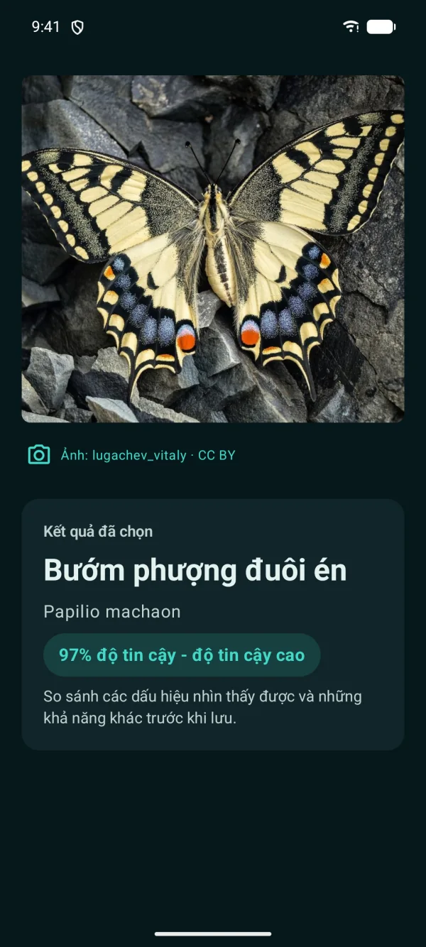 Butterfly Discover — Bướm ngày và bướm đêm, ngoại tuyến