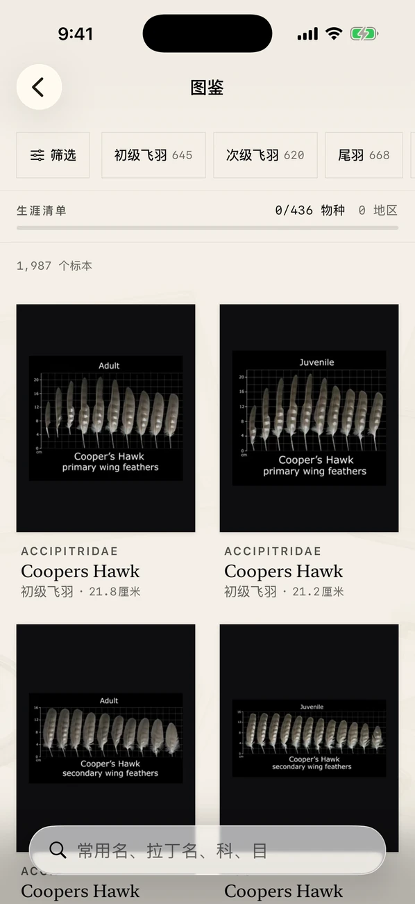 Plumes: Feather Atlas — 鸟类羽毛 ID 和现场指南