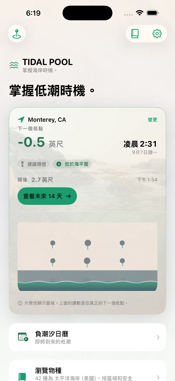 Tidal Pool: Tidepool Timing — 算準低潮，邂逅生靈