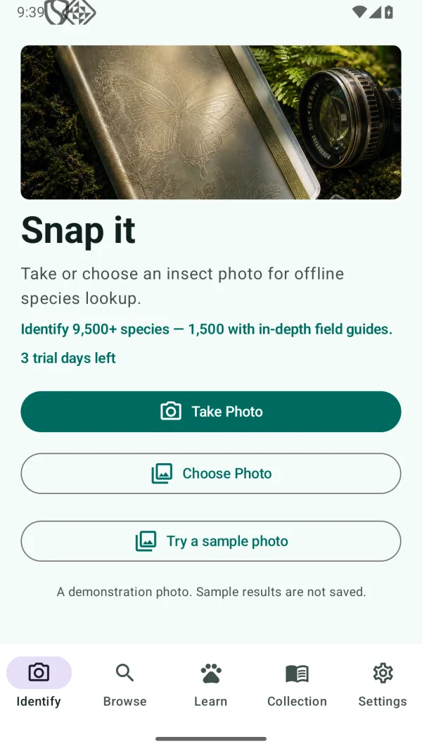 Insect Discover: Bug ID