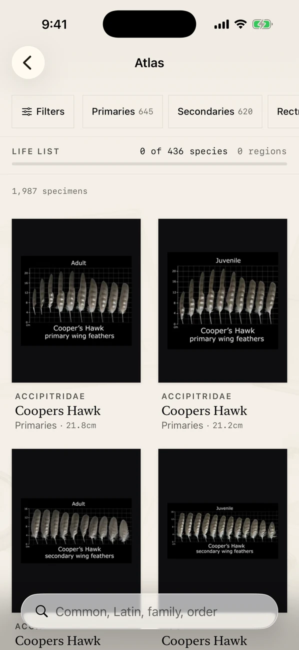 Plumes: Feather Atlas — Bird feather ID & field guide