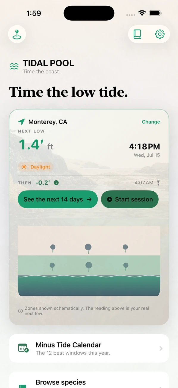 Tidal Pool: Tidepool Timing — Plan the low tide. Meet life.